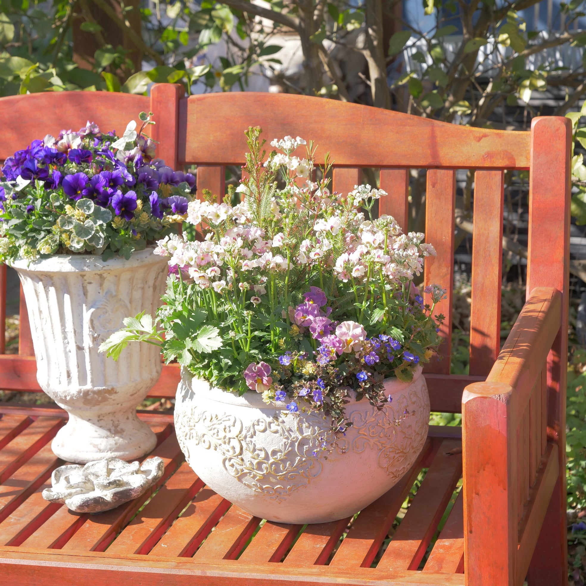 P1533202.jpg?v=1707726779