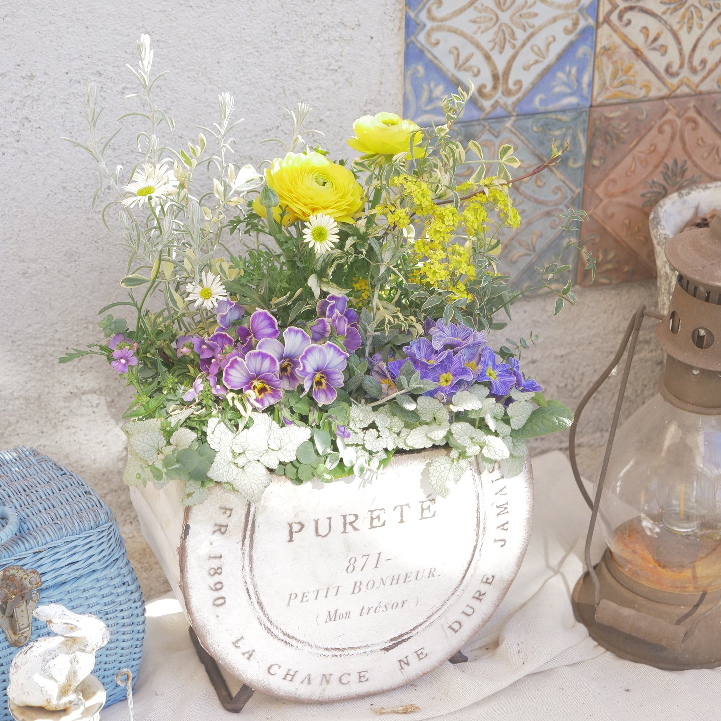 ブリキ鉢の、春らしい寄せ植え