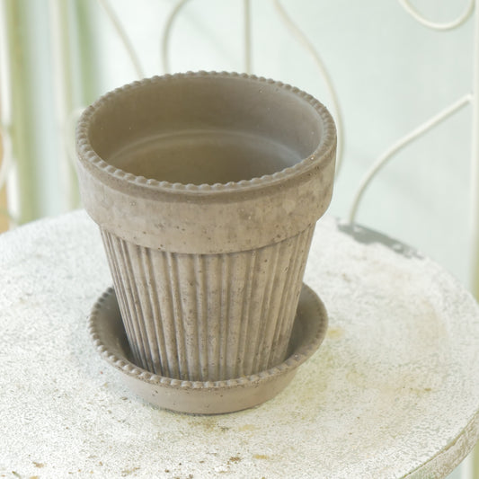 バーグスポッター シモナ12 グレー