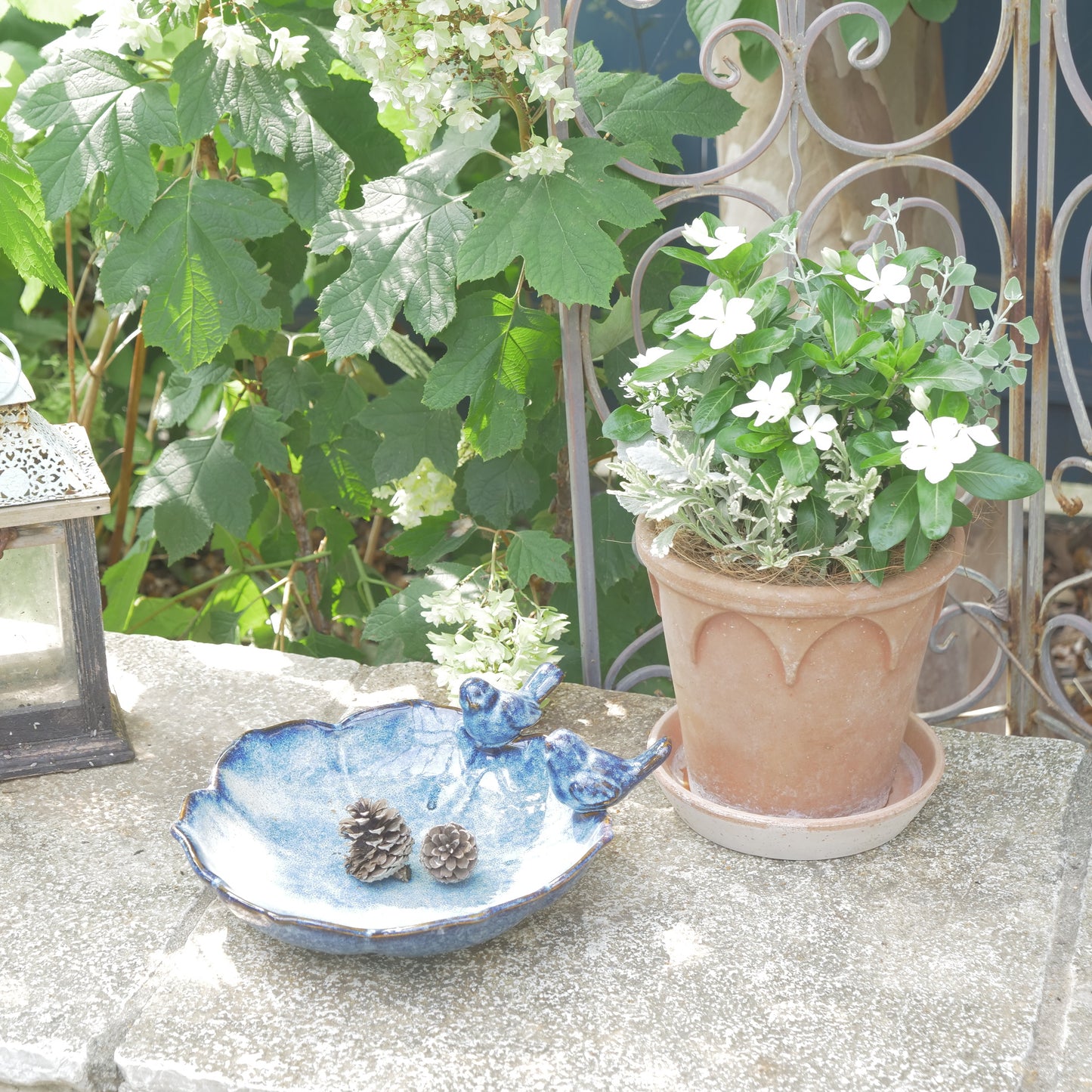 バードバス グレイズ ブルー