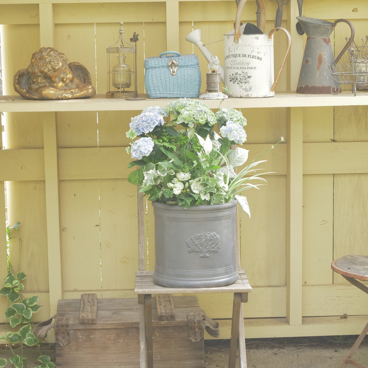 クラシックスタイル エンジェル