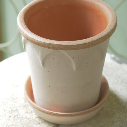 バーグスポッター エリザベス 14 ナチュラル