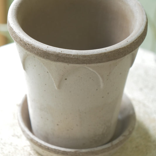 バーグスポッター エリザベス 12グレー