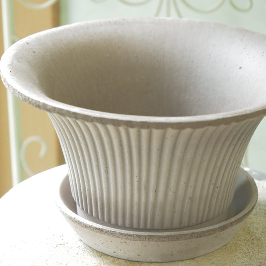 バーグスポッター デイジー 25 グレー 再入荷