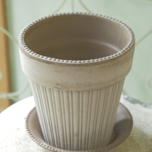 バーグスポッター シモナ16グレー