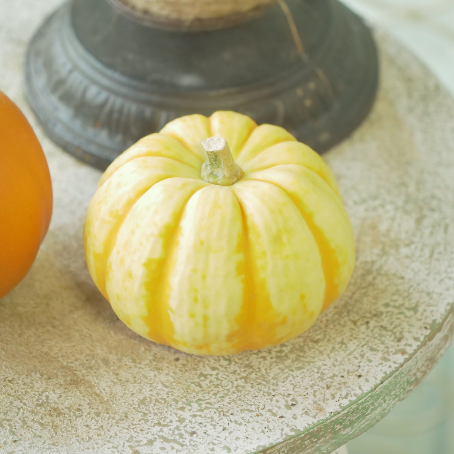 ハロウィンカボチャ 【本物のカボチャです】2個セット