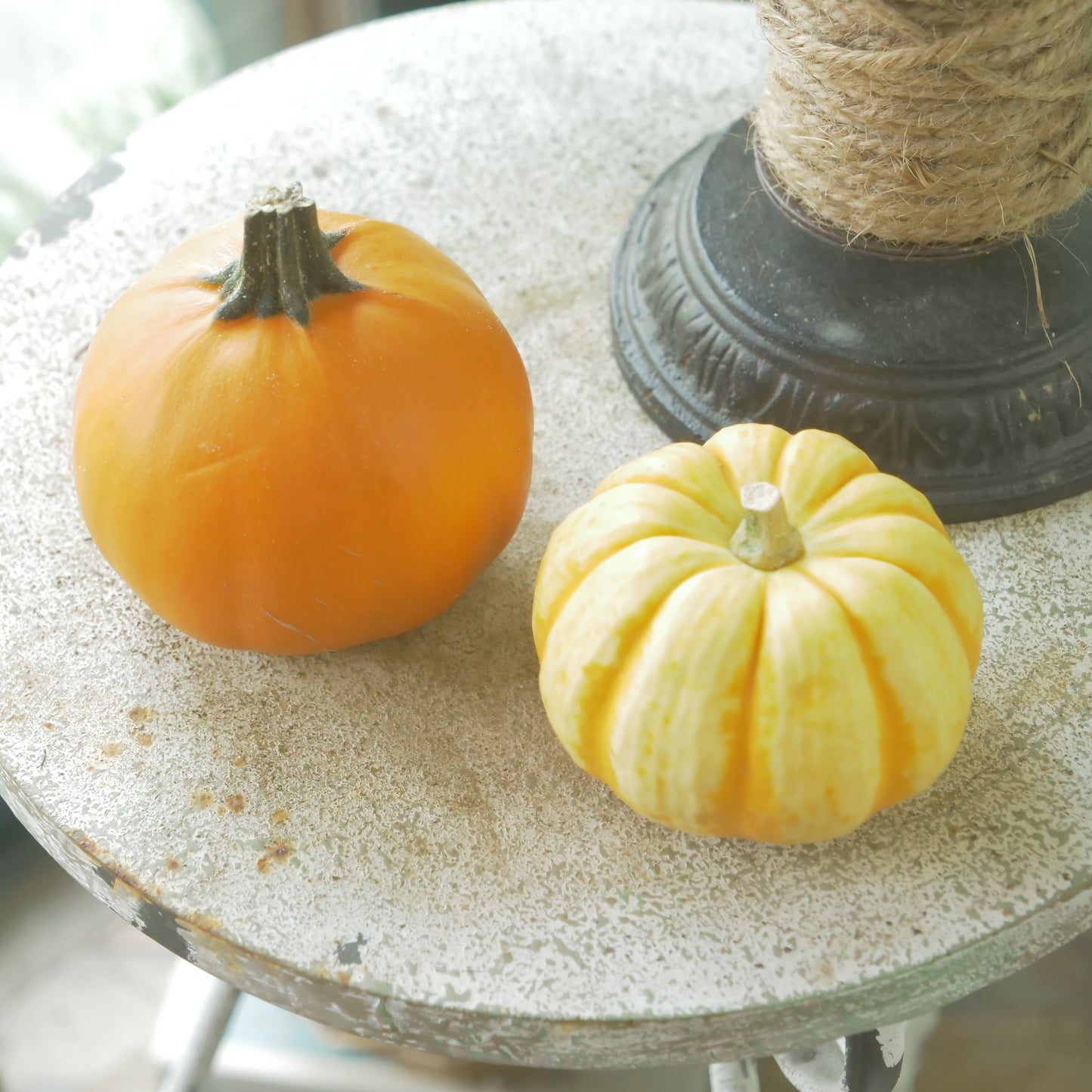 ハロウィンカボチャ 【本物のカボチャです】2個セット
