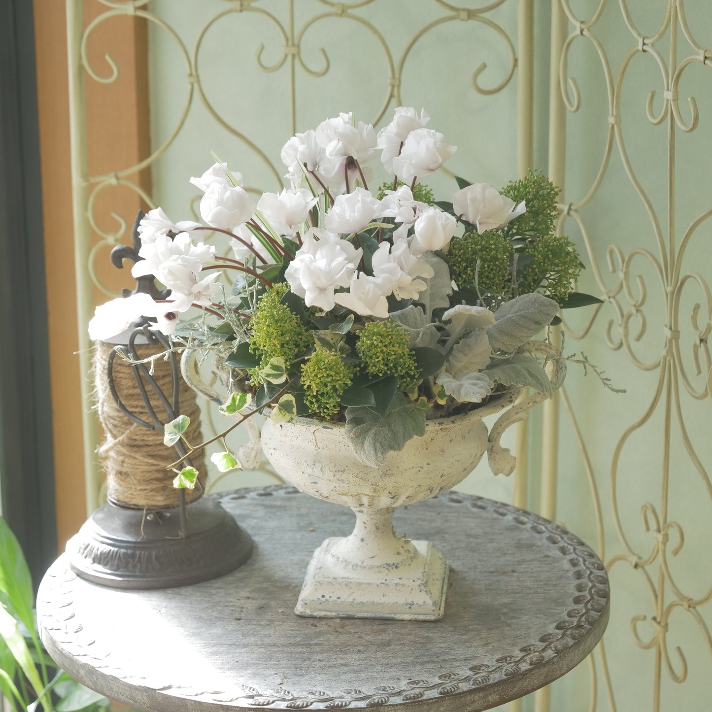 ピトレスクカップ