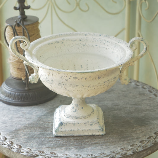 ピトレスクカップ