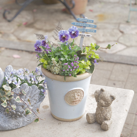 flowermagicオリジナル ビオラレディの寄せ植え。ブルーのピック付き。