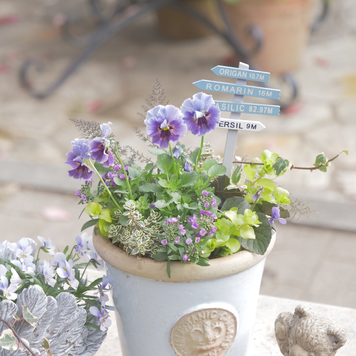 flowermagicオリジナル ビオラレディの寄せ植え。ブルーのピック付き。