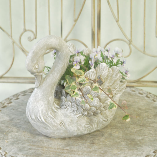 flowermagicオリジナル ビオレッタ雫のスワン鉢植え。