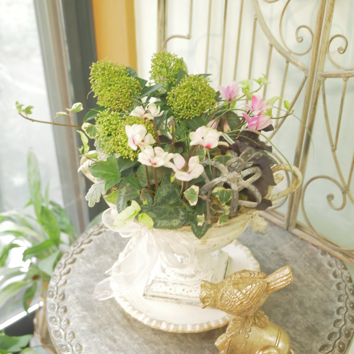 flowermagicオリジナル スキミアとシクラメン【フェアリーピコ】の寄せ植え。鉢皿とクラウンのピック付き。