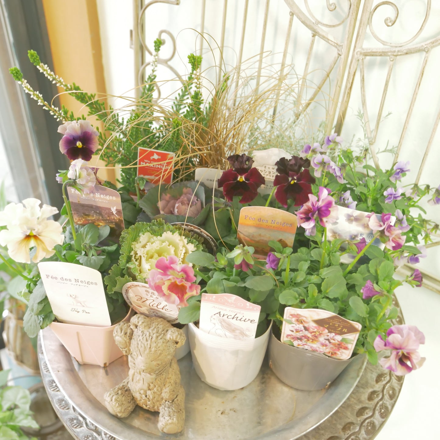 【flowermagicのクリスマス、年末、花苗福袋】花苗13~15&クマの置物1点入り。ラスト1個