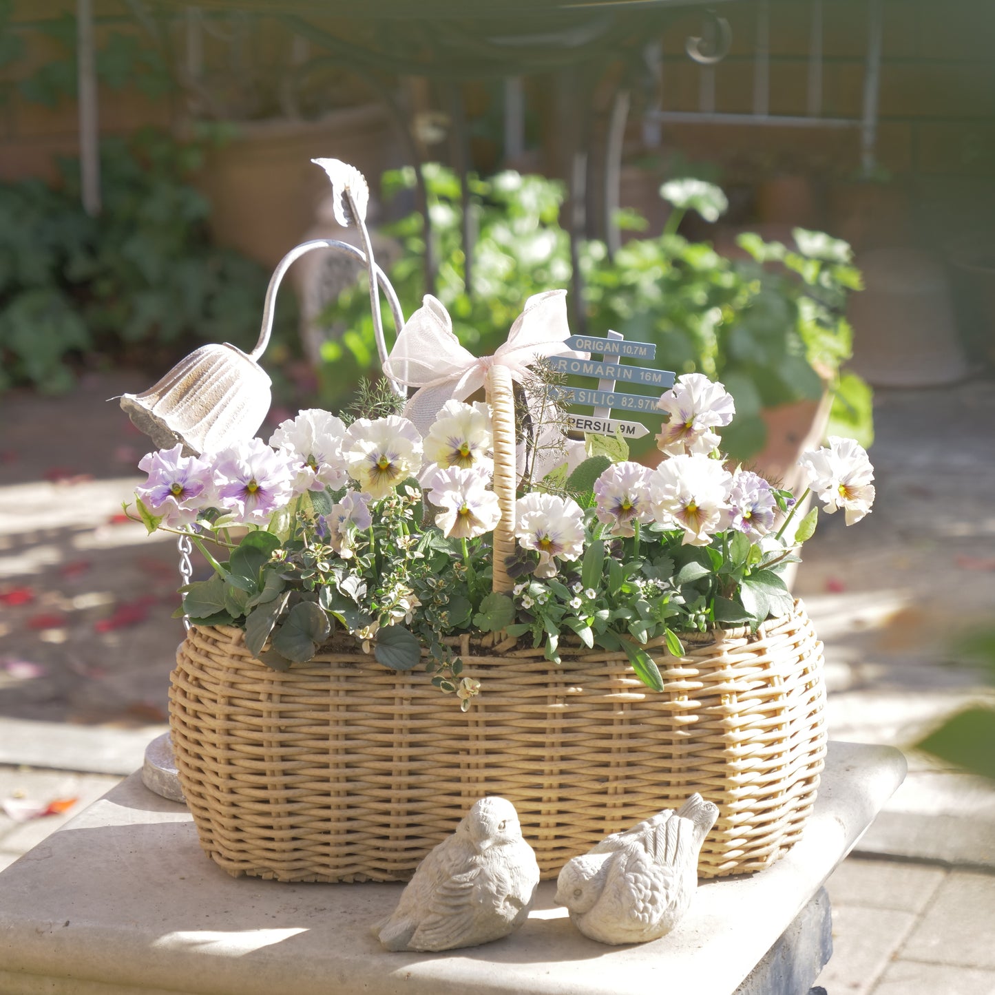 flowermagicオリジナル パンジートイプーの寄せ植え。ピック付き。