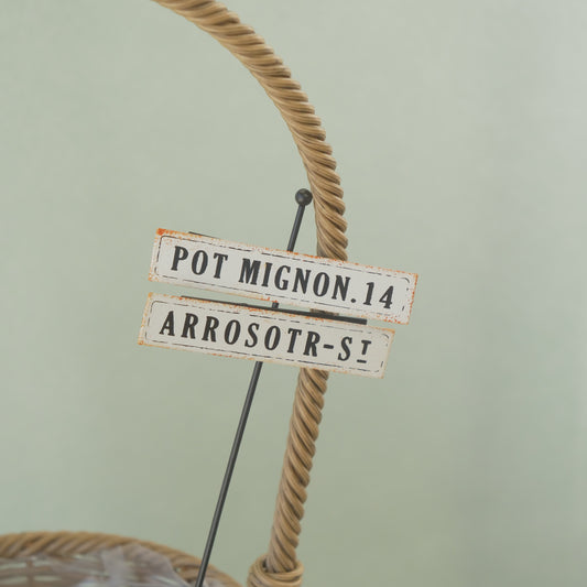 アロゼピック 寄せ植えにワンポイント!