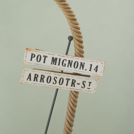 アロゼピック 寄せ植えにワンポイント!