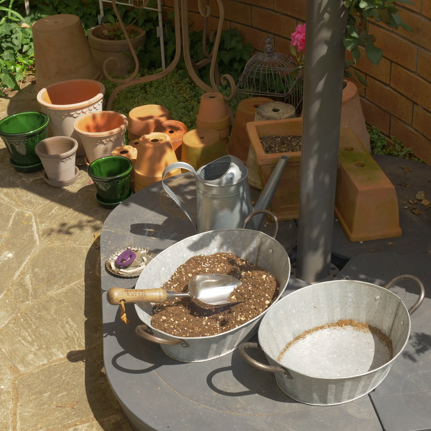 evo花がたくさん咲く土5L