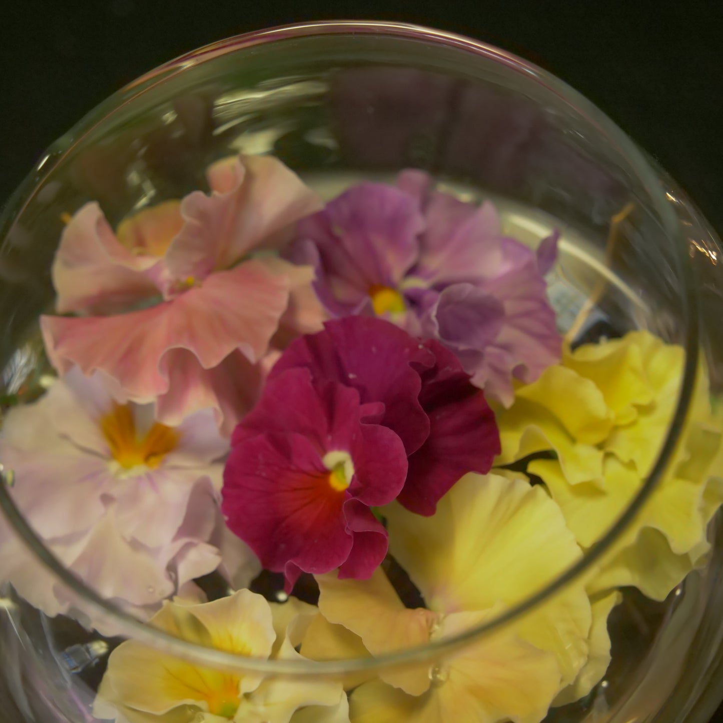 in bloom インブルーム ガラスボウルベースL