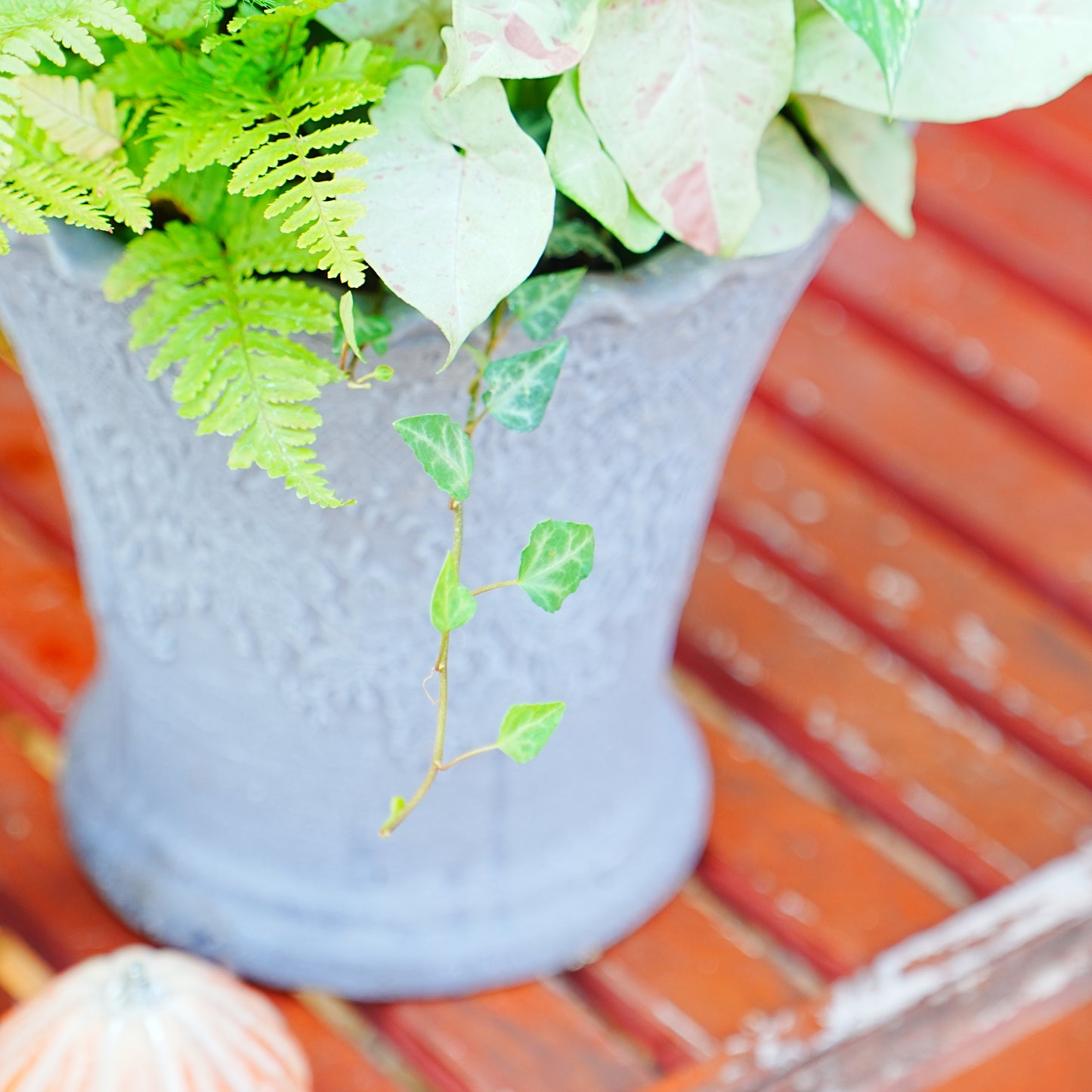 シックな雰囲気の観葉植物の寄せ植え。