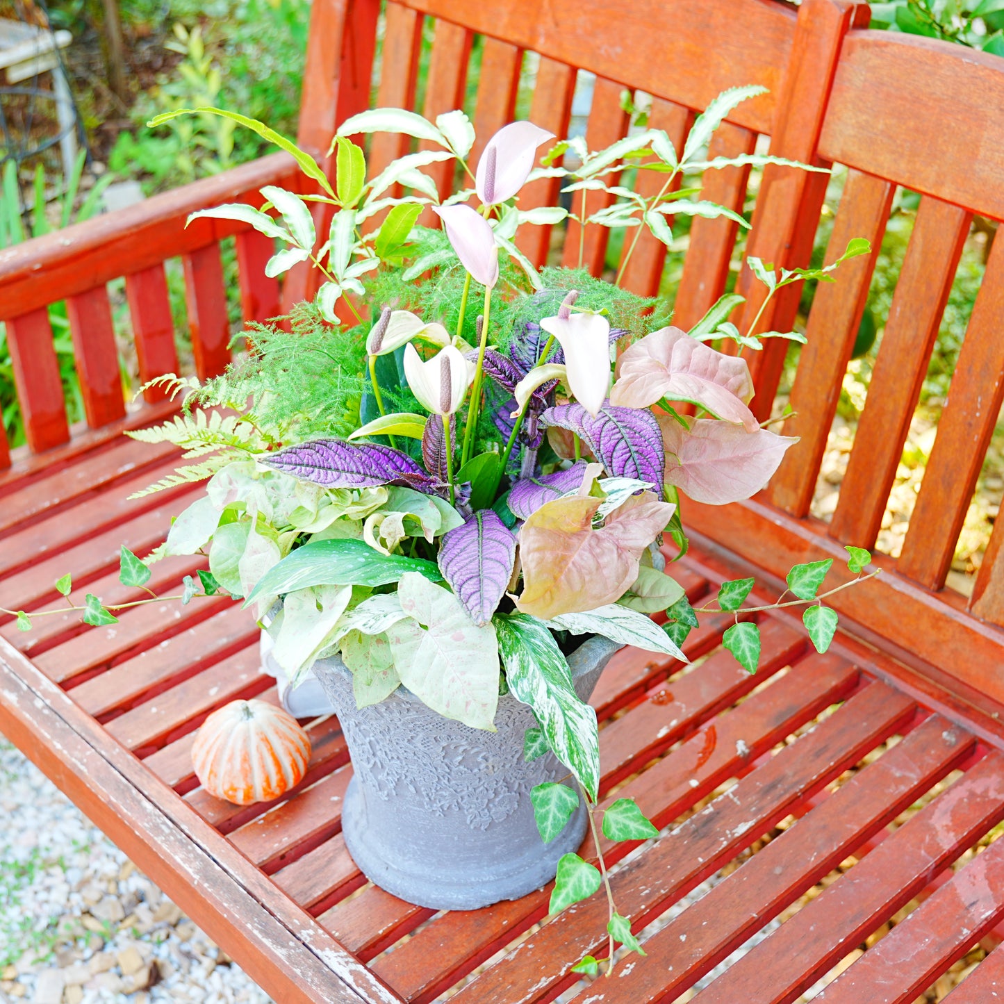 シックな雰囲気の観葉植物の寄せ植え。