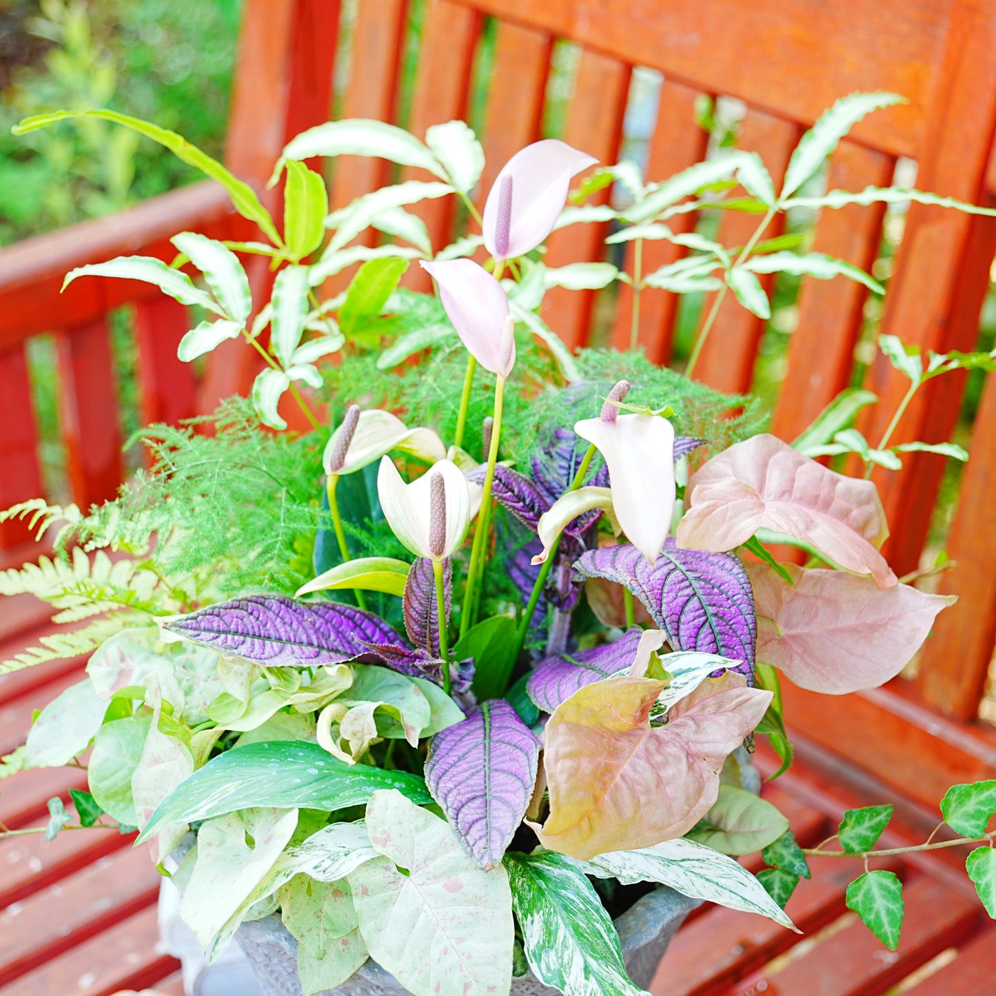 シックな雰囲気の観葉植物の寄せ植え。