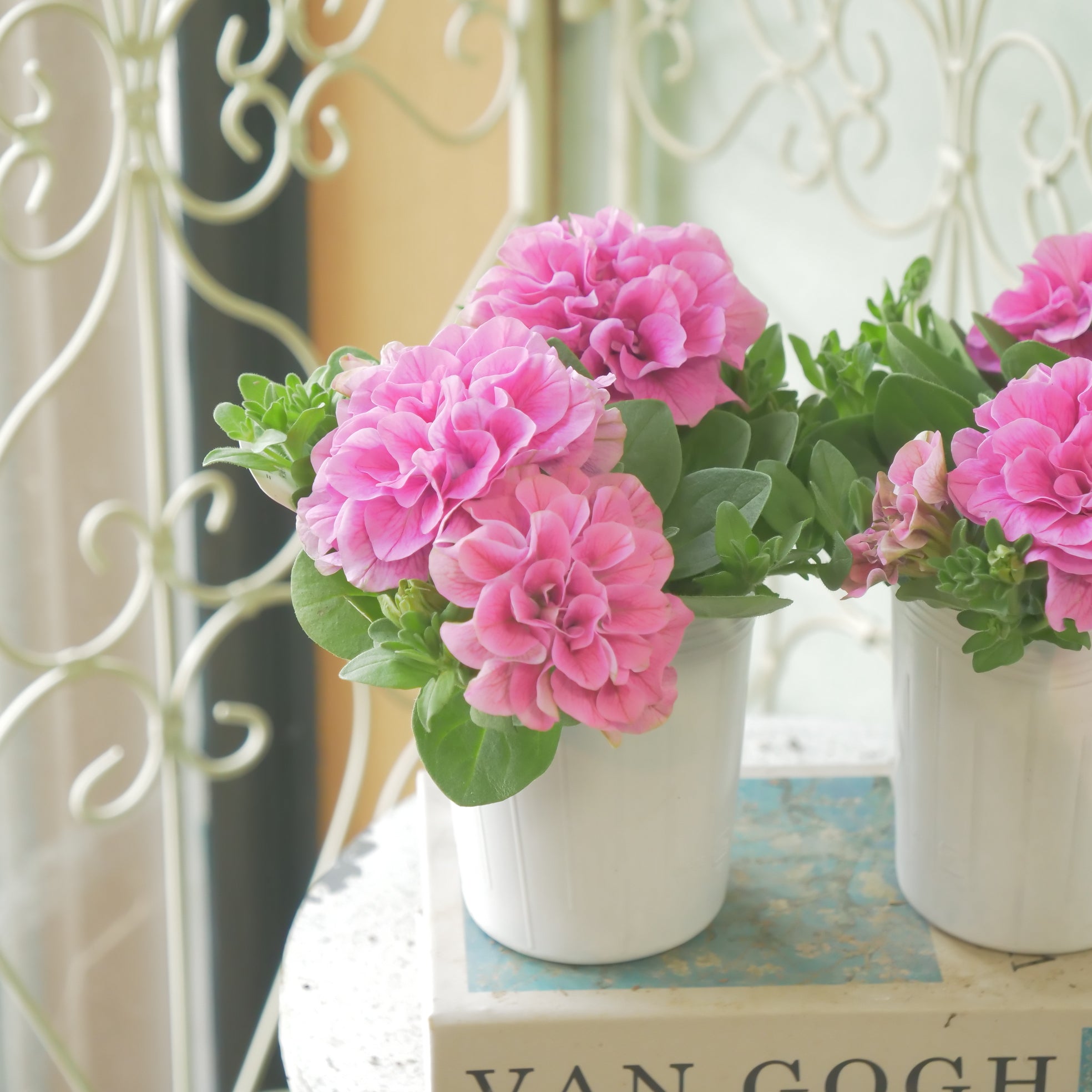 新着商品 – flower magic