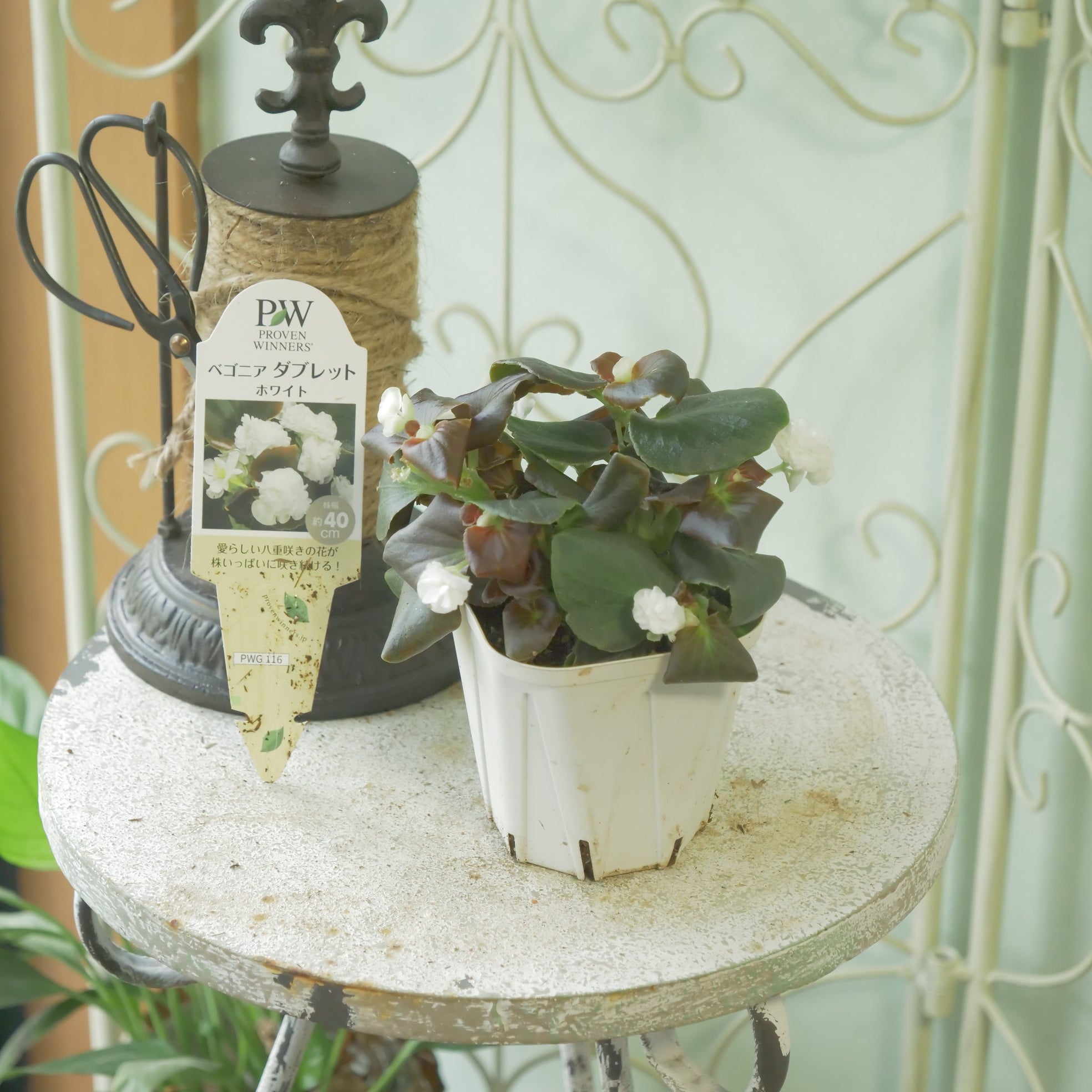 新着商品 – flower magic