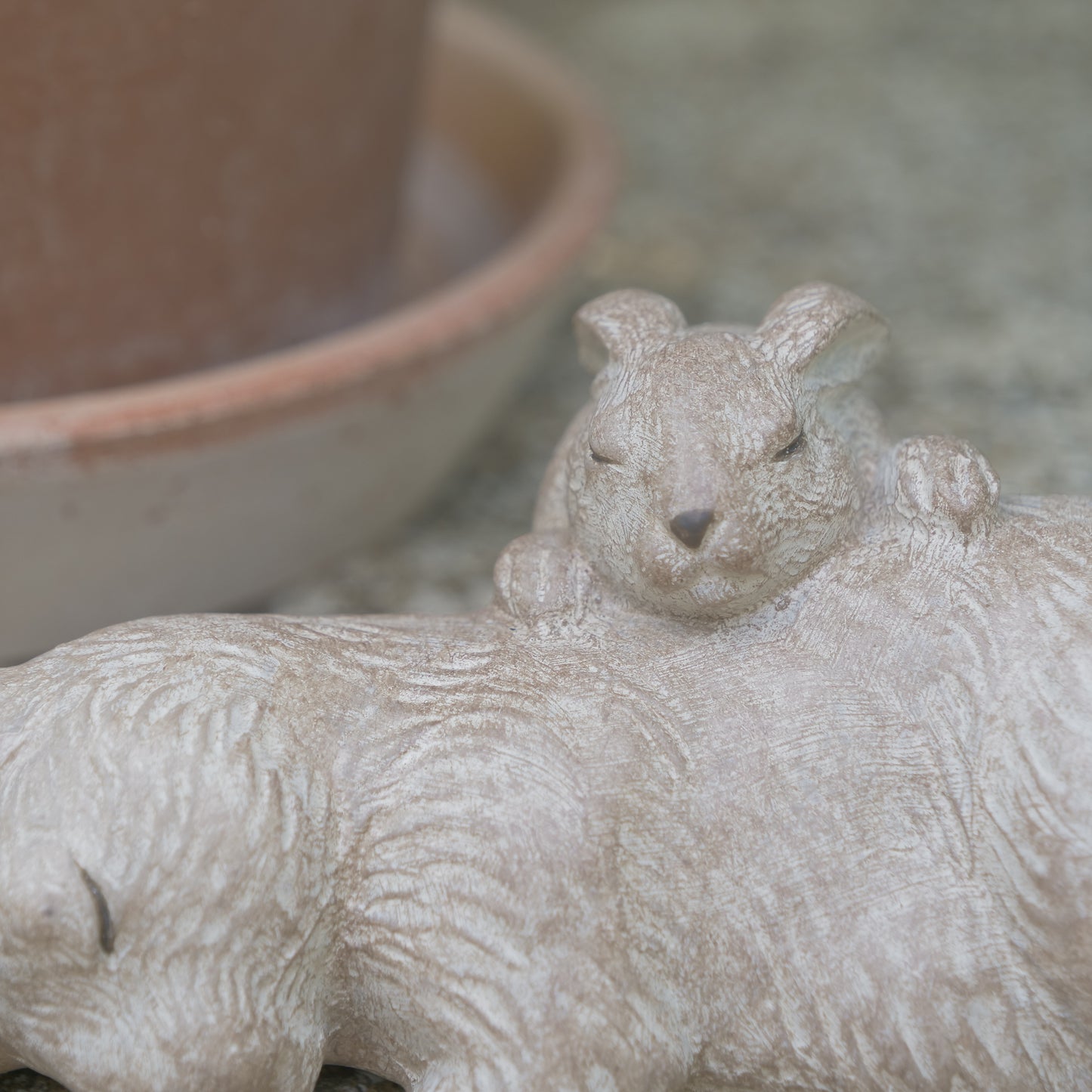 うたた寝ウサギ