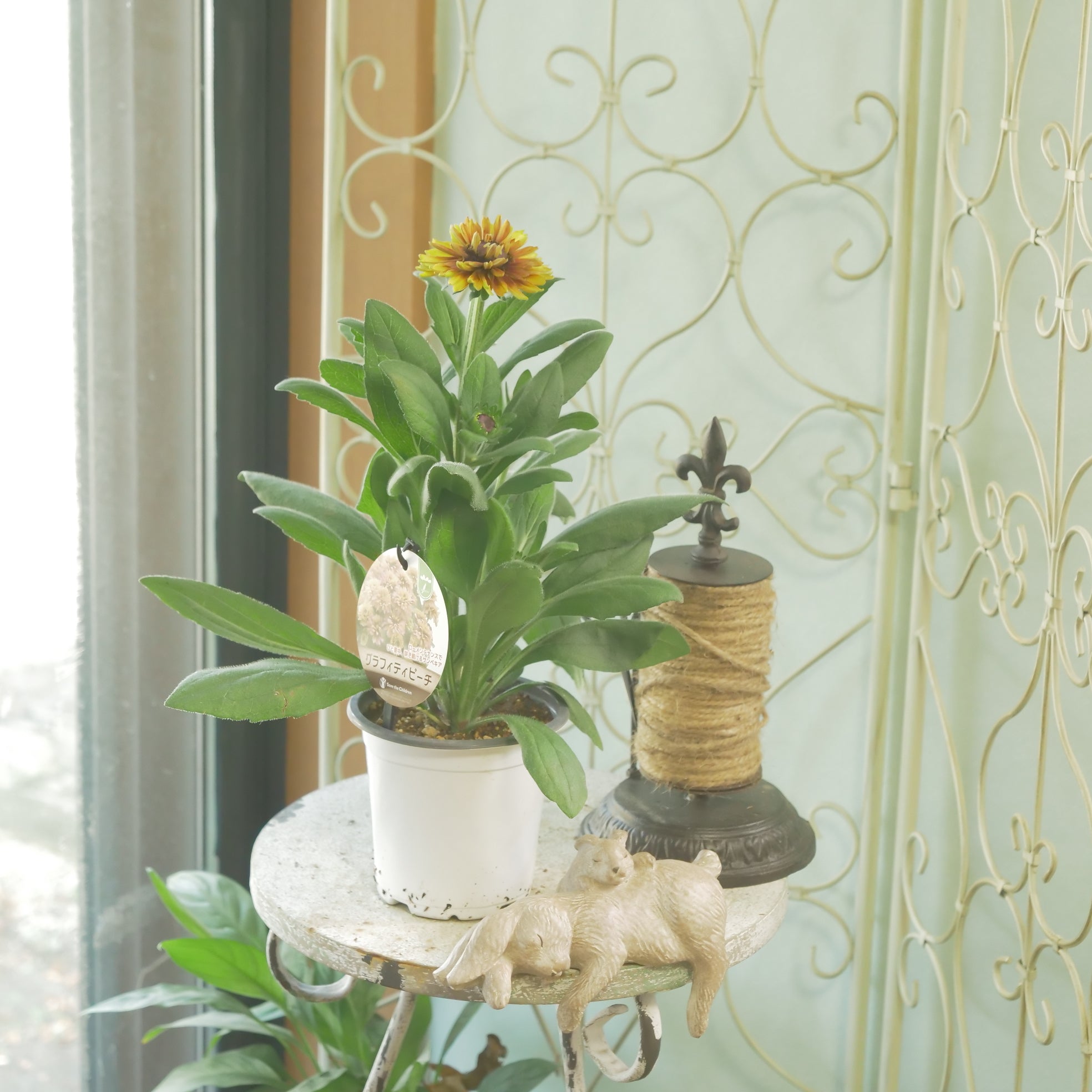 新着商品 – flower magic