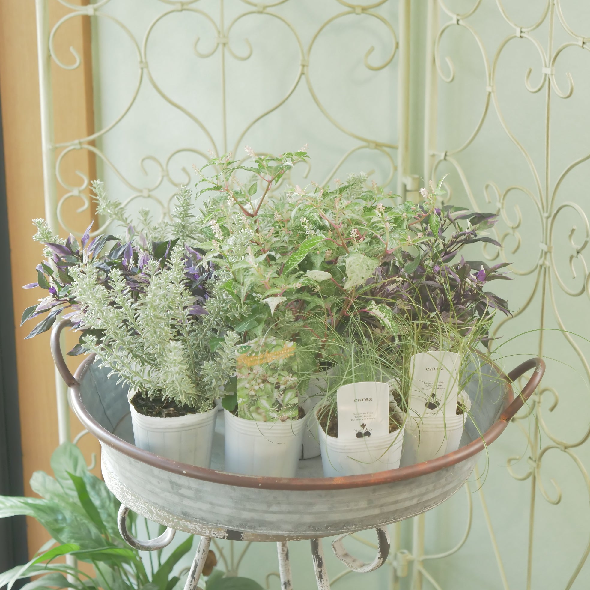 新着商品 – flower magic