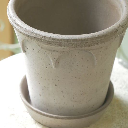 バーグスポッター エリザベス 16グレー