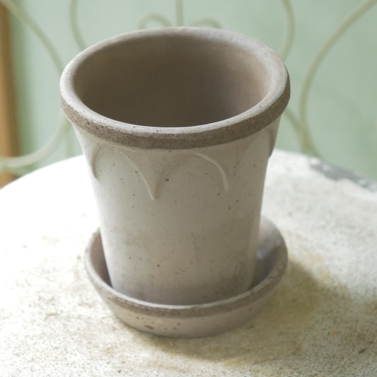 バーグスポッター エリザベス 12グレー