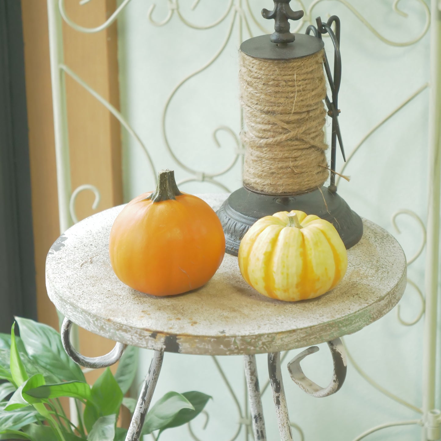 ハロウィンカボチャ　【本物のカボチャです】2個セット
