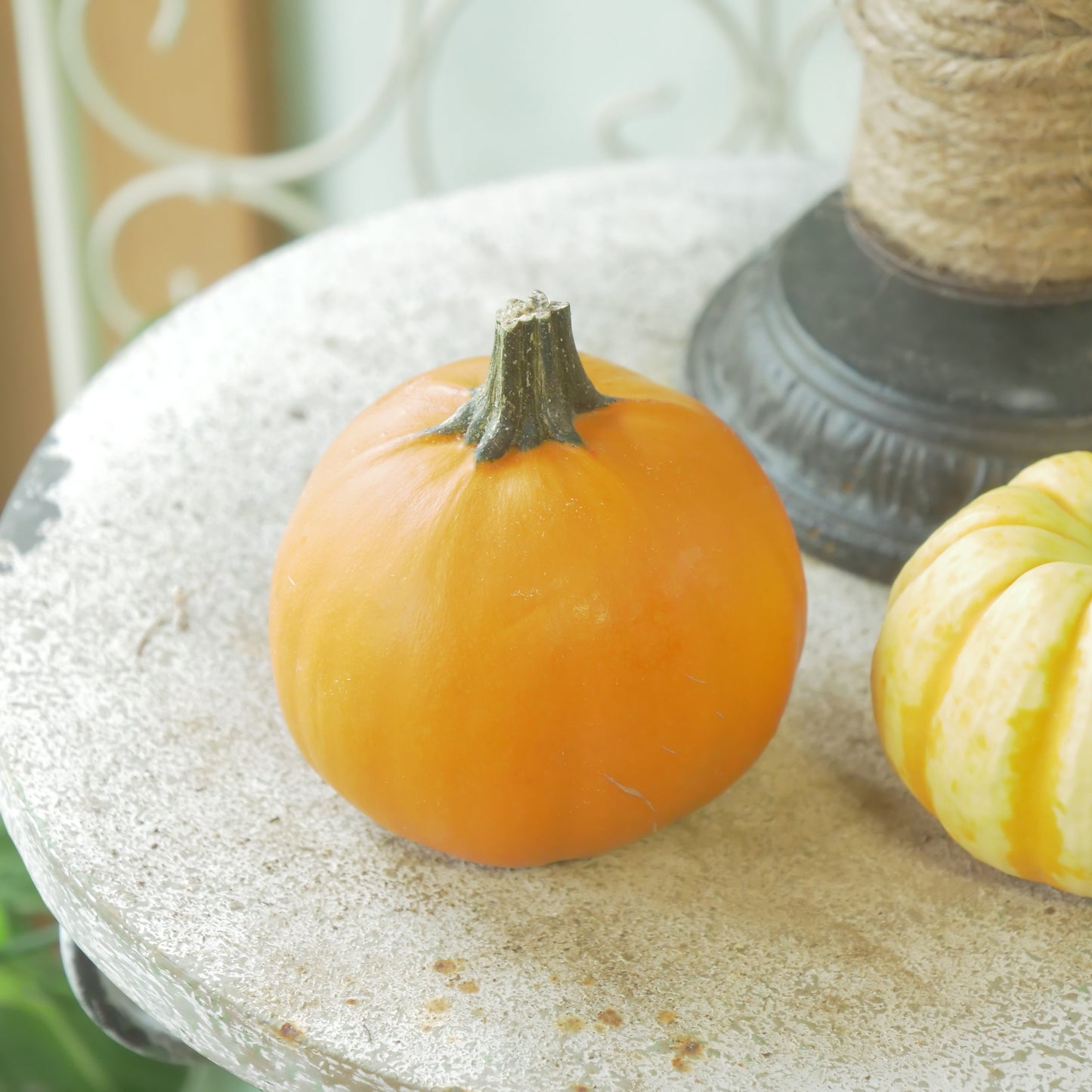 ハロウィンカボチャ　【本物のカボチャです】2個セット