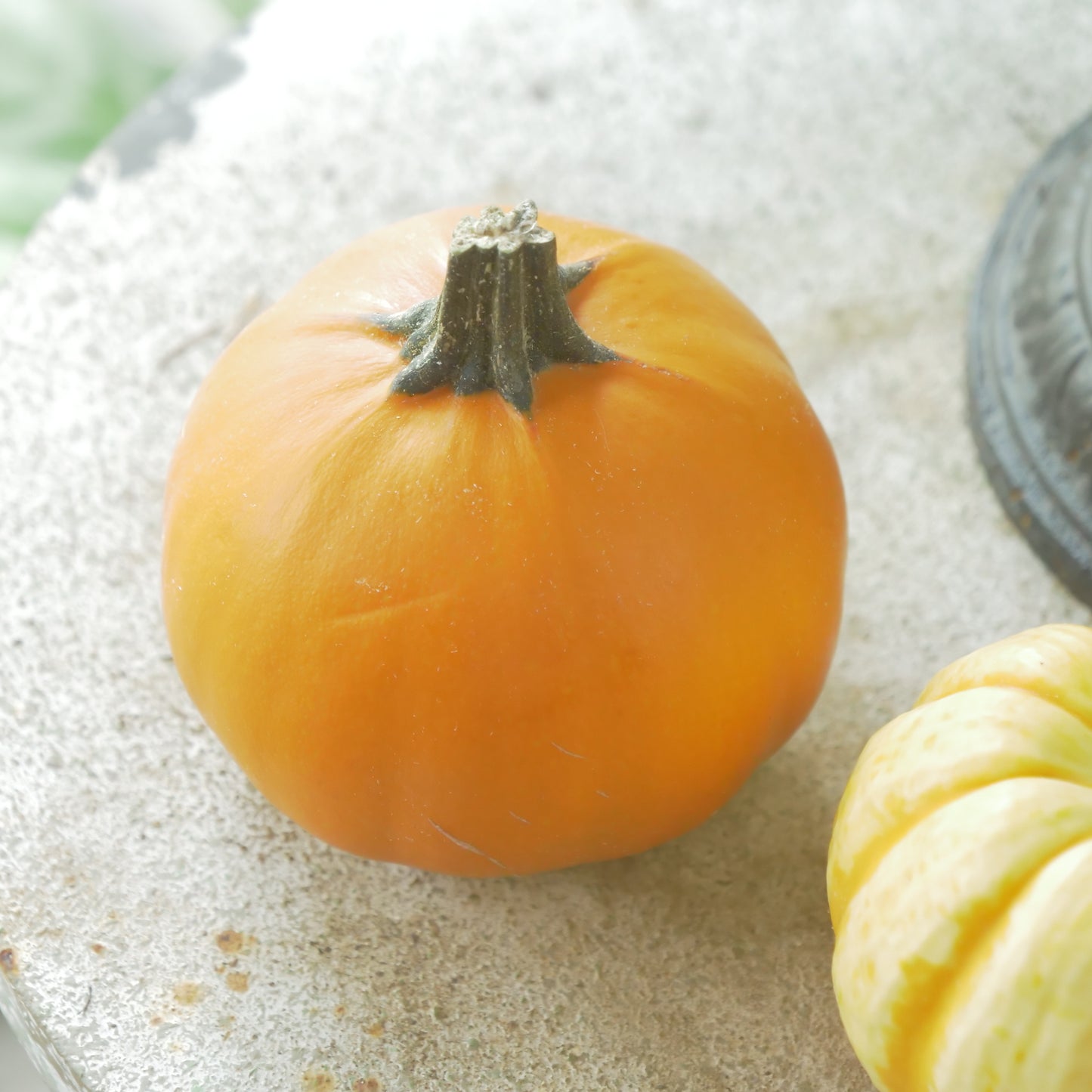 ハロウィンカボチャ　【本物のカボチャです】2個セット