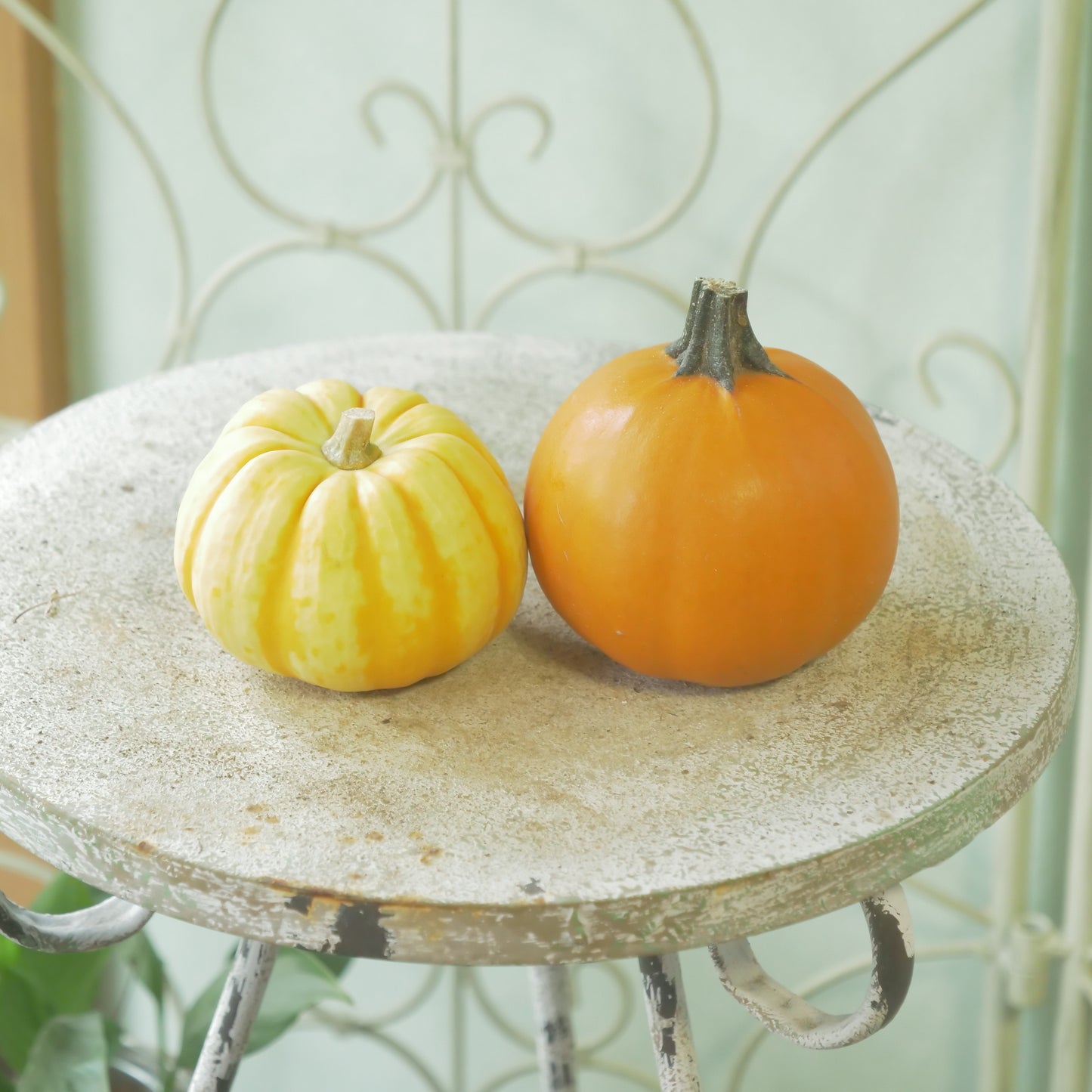 ハロウィンカボチャ　【本物のカボチャです】2個セット