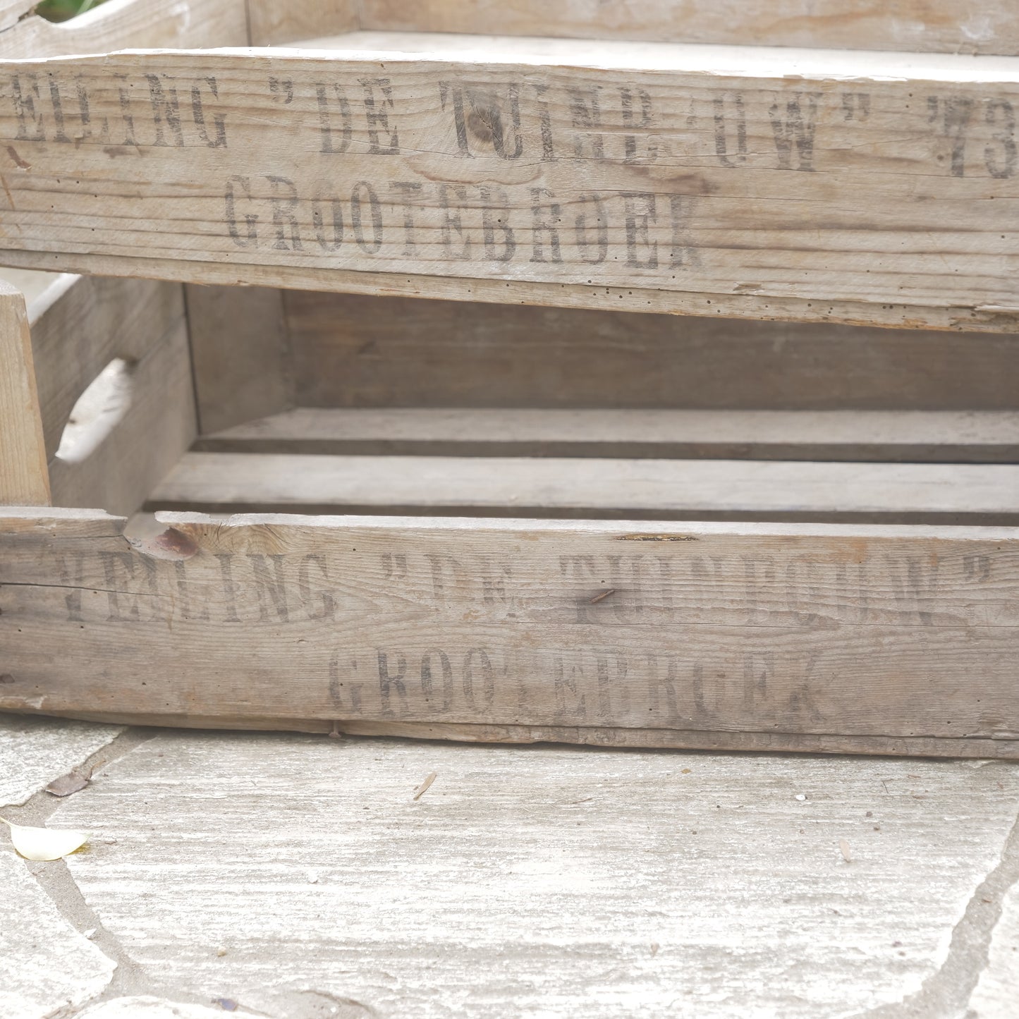 【ANTIQUE＆BROCANTE】カリフラワーボックス
