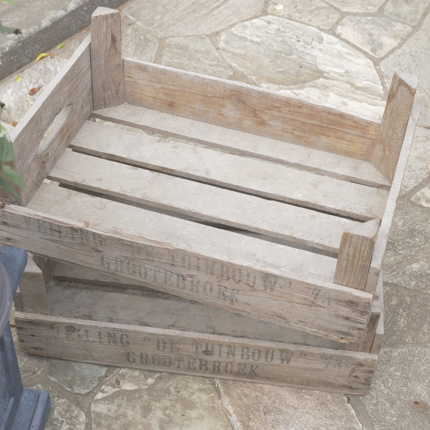 【ANTIQUE＆BROCANTE】カリフラワーボックス