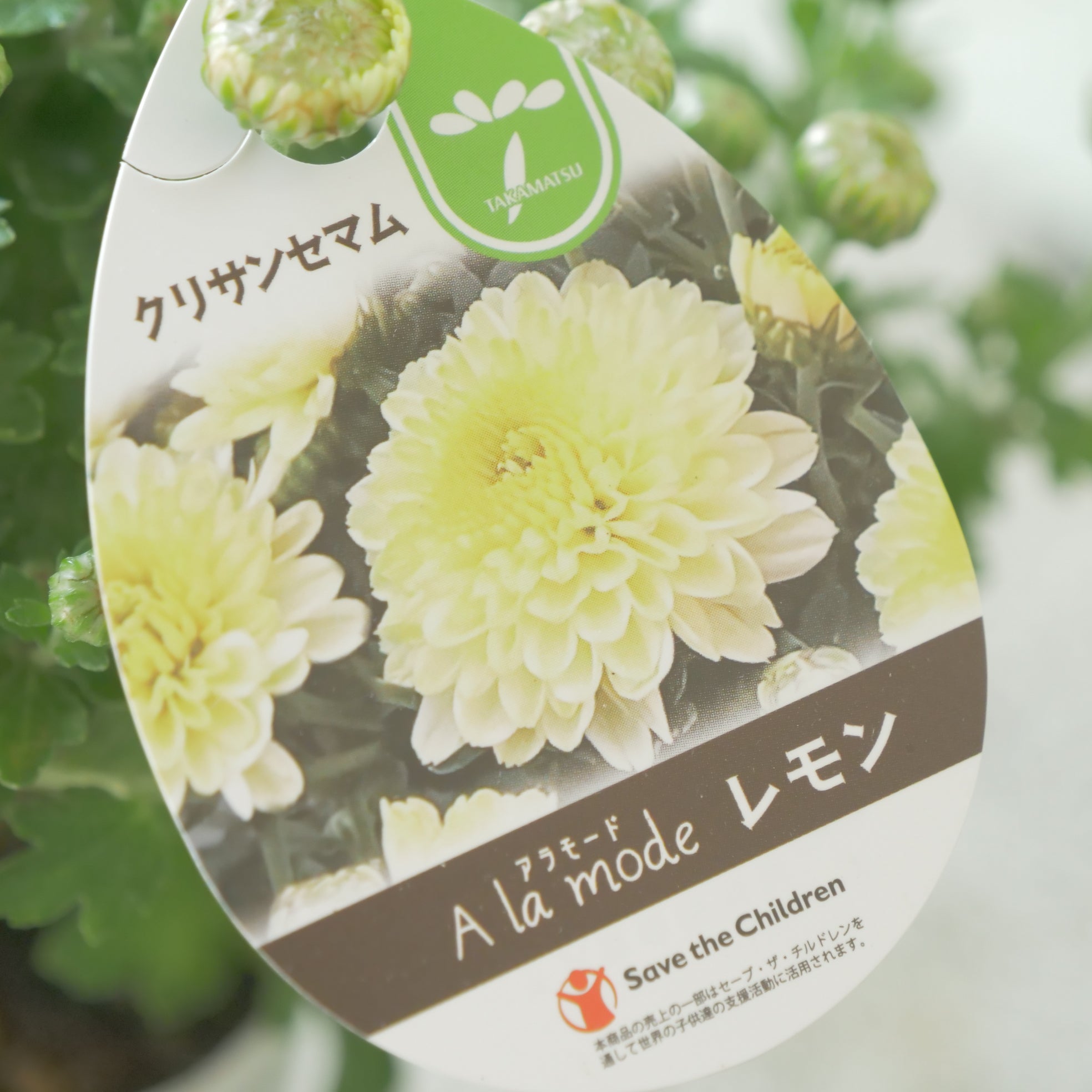 お花ページ Amazon | O-622 立体お花シールクラフトパンチ ペーパーフラワー