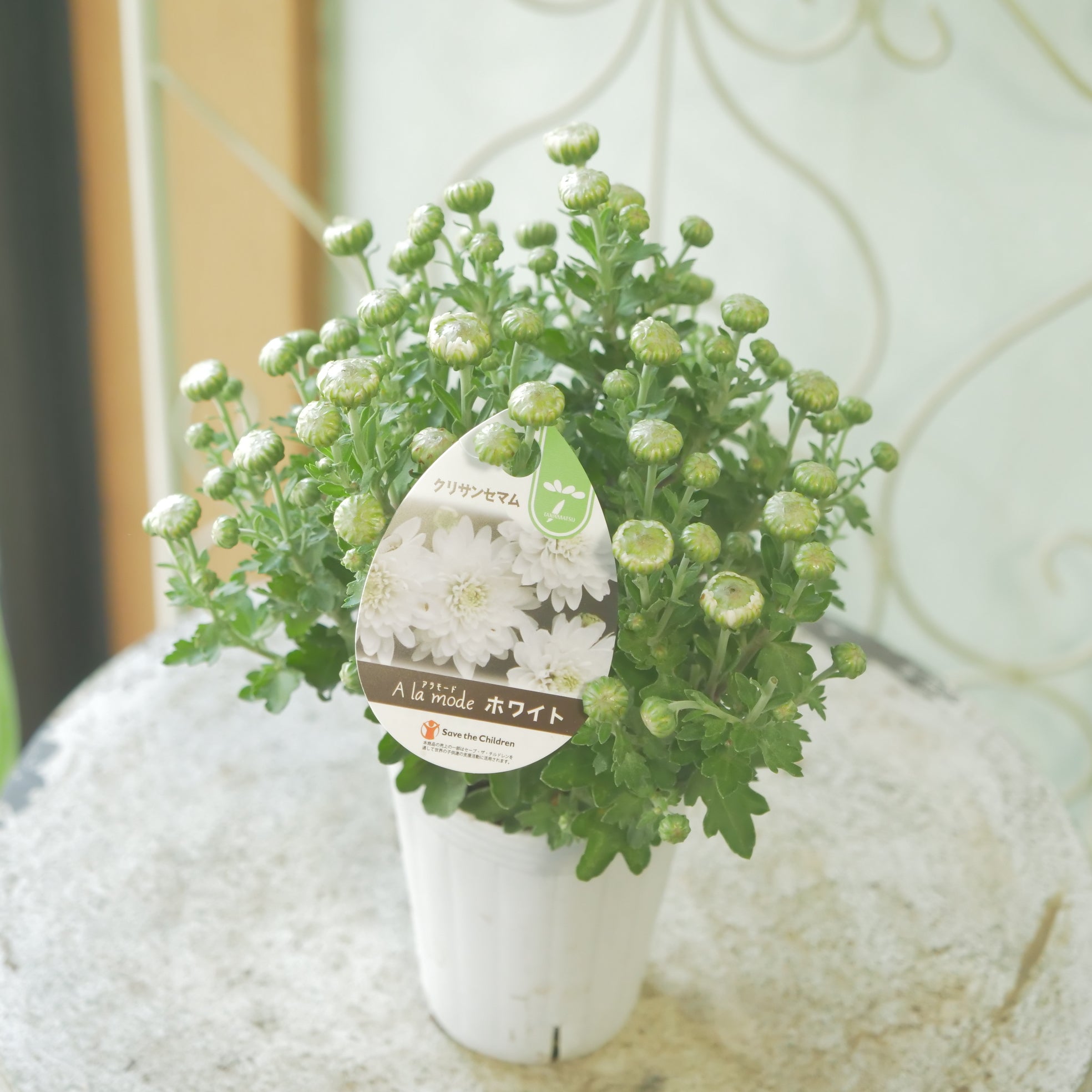 新着商品 – flower magic