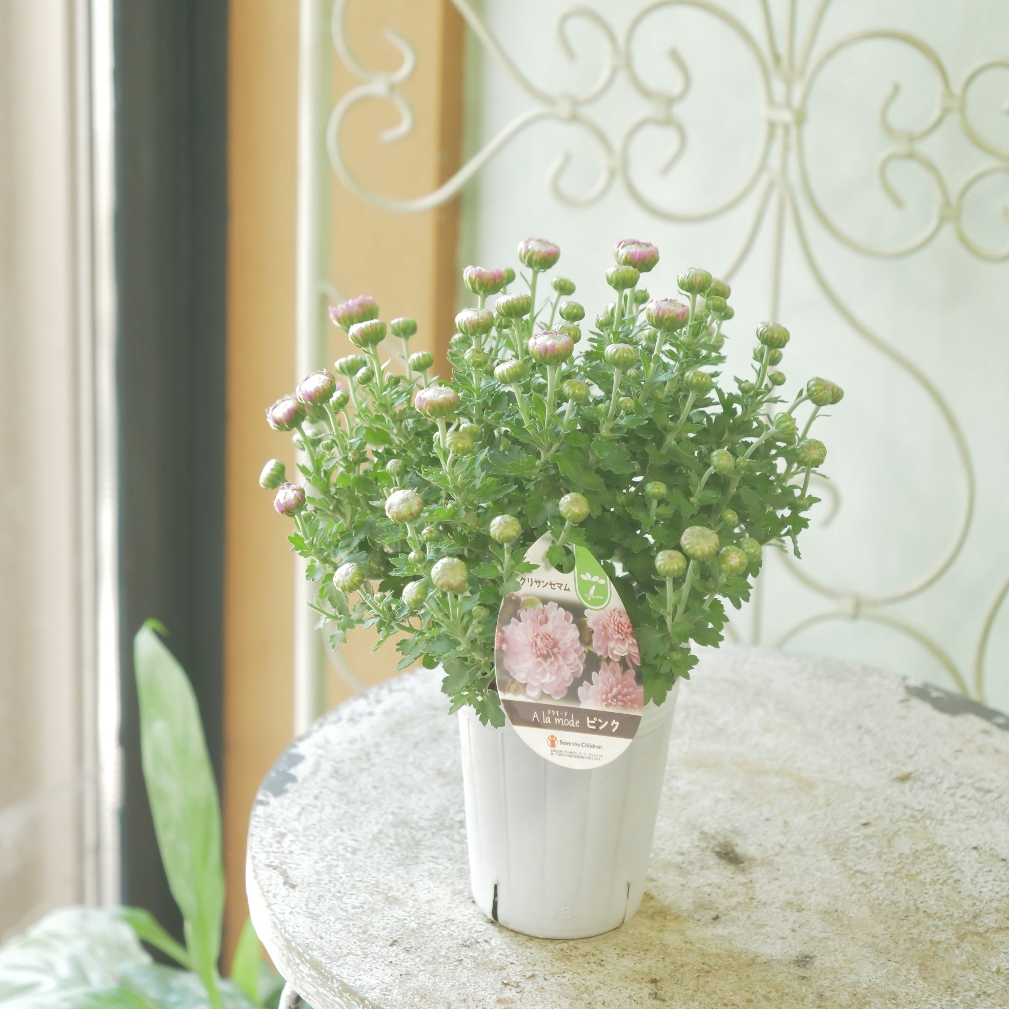 新着商品 – flower magic