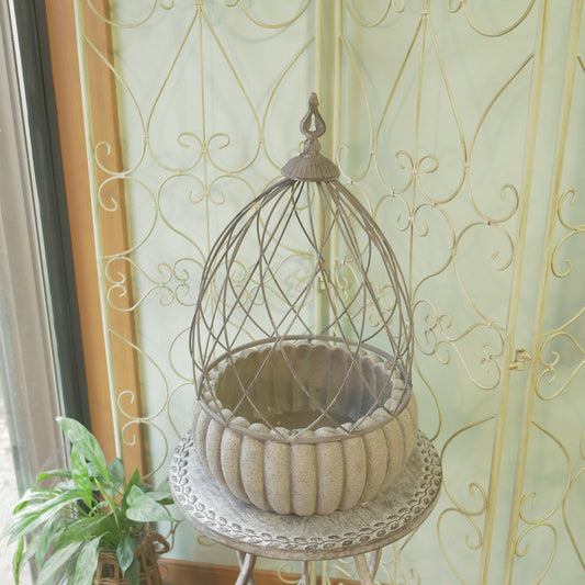 ミニトレリスドーム