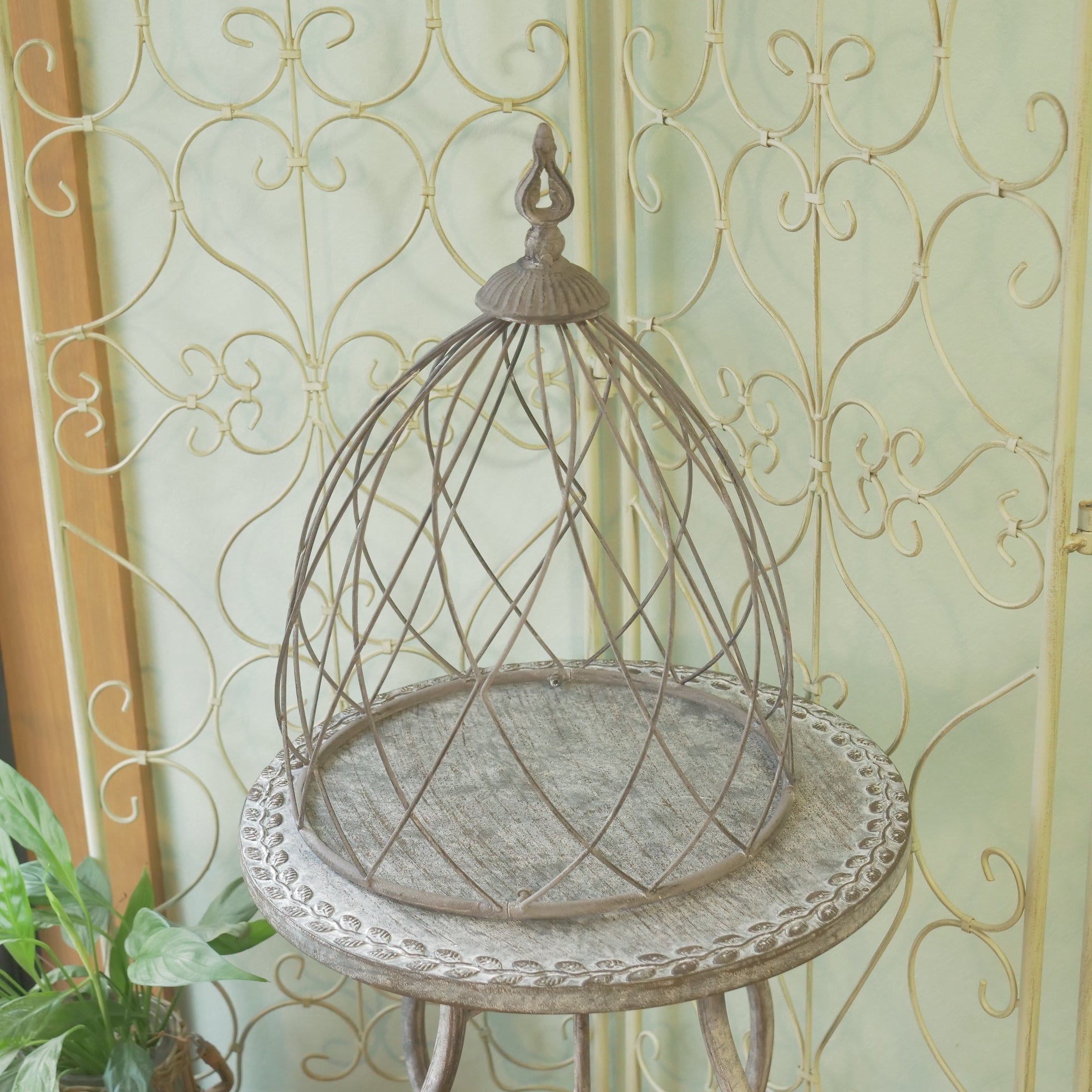 新着商品 – Page 5 – flower magic