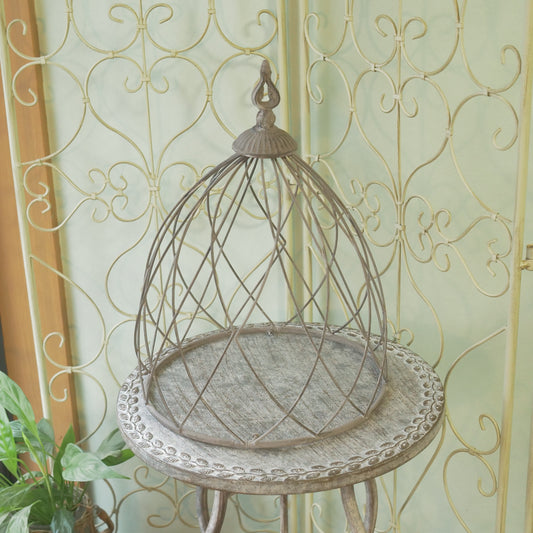 ミニトレリスドーム