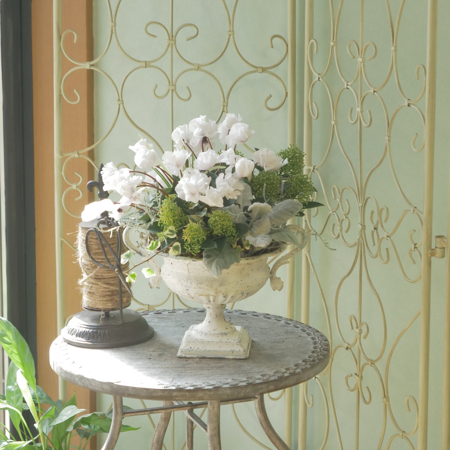 ピトレスクカップ