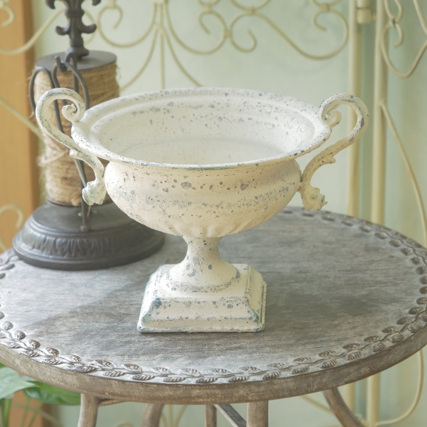 ピトレスクカップ