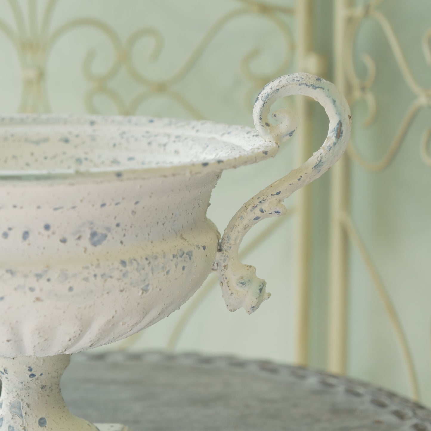 ピトレスクカップ