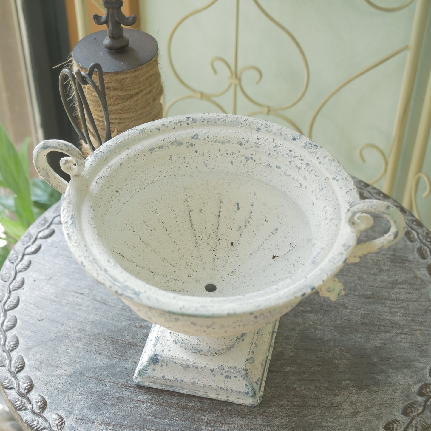 ピトレスクカップ