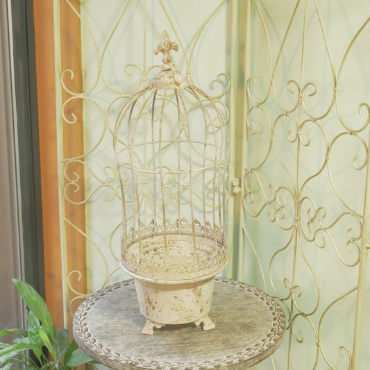 ロングカラージュ